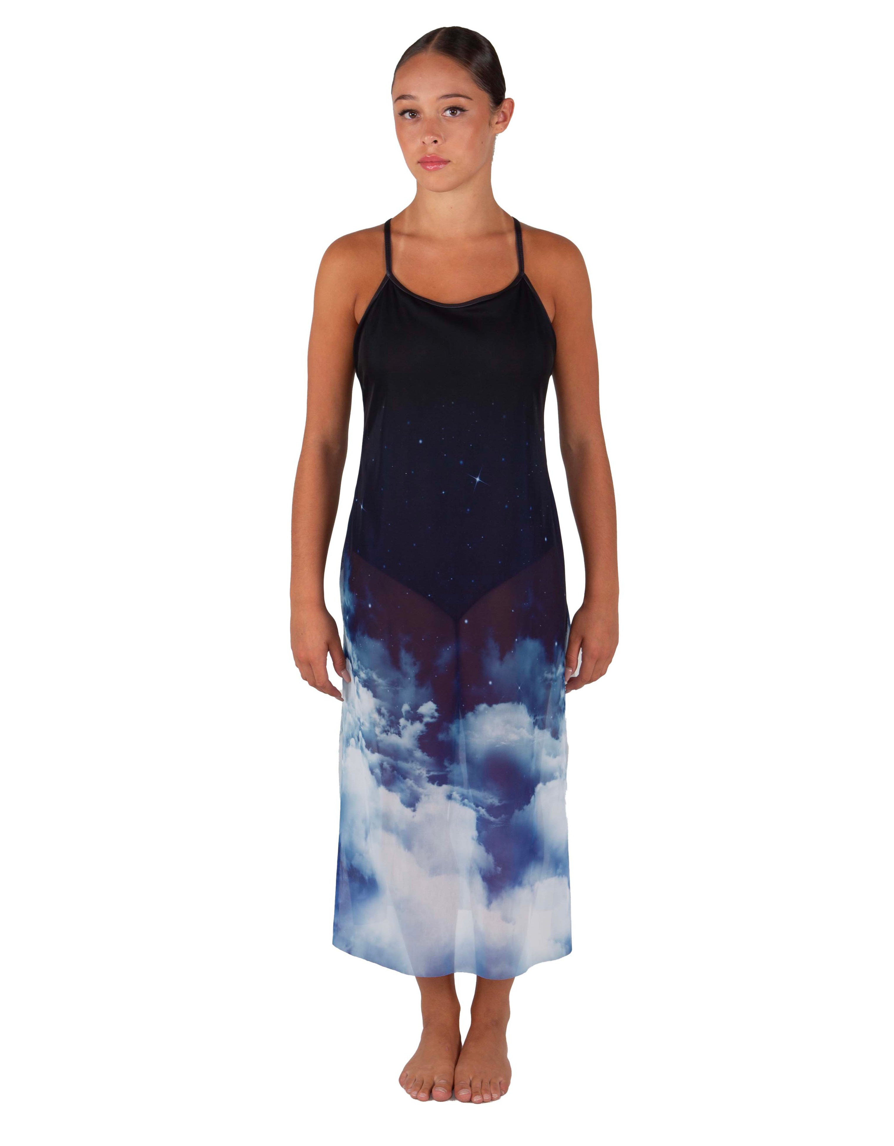 Stairway to Heaven Long Chiffon Panel Dress