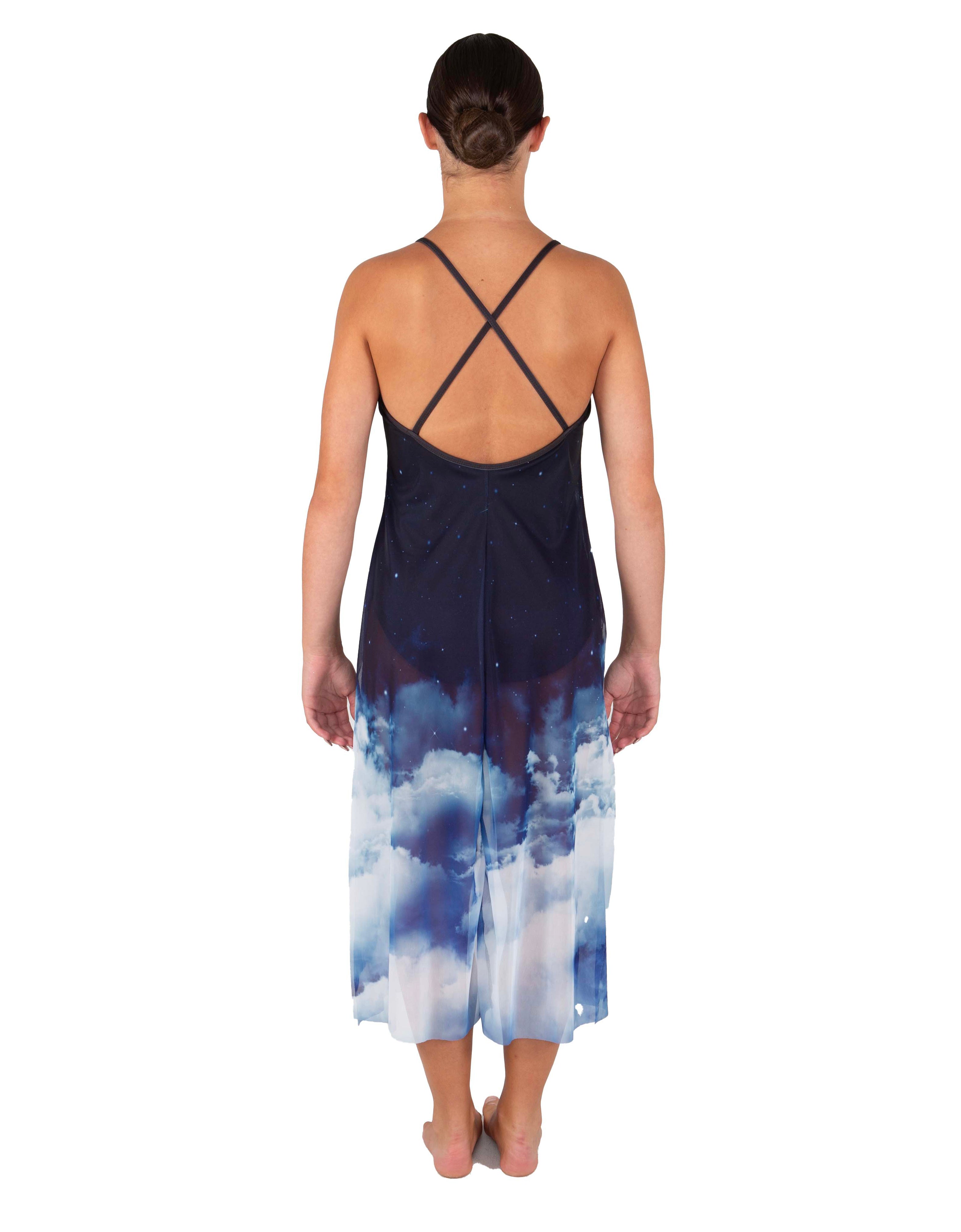 Stairway to Heaven Long Chiffon Panel Dress